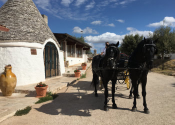 Martina Franca Horse Carriage Experience