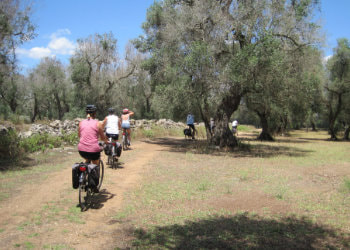 Otranto Bike Tour