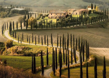 Val d'Orcia Wine & Cheese Experience